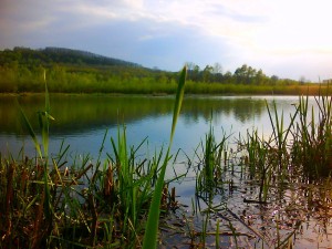 Живописные окрестности села Зеленов