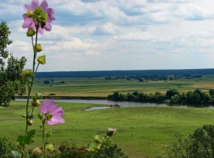 Бескрайние просторы Мезинского национального парка (Чернигов и область)