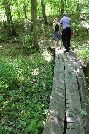 Для туристов в Мезинском парке проложены специальные экотропы (Чернигов и область)