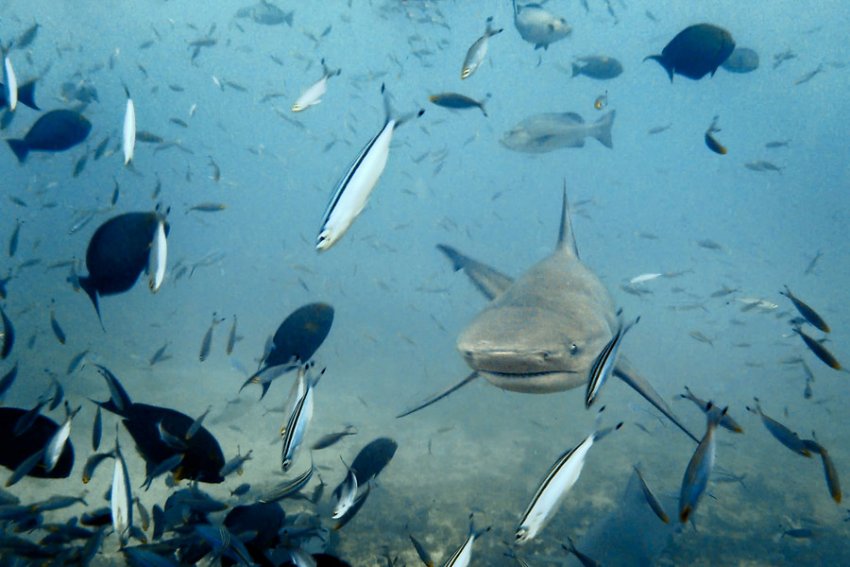 Фото достопримечательностей островов: 