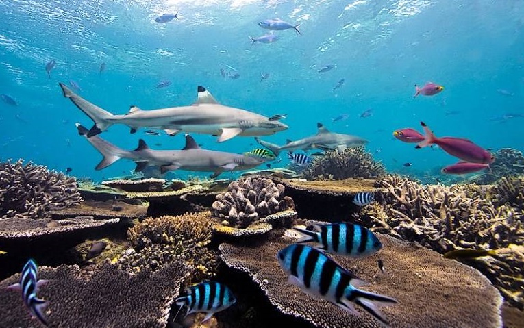 Фото достопримечательностей островов: 