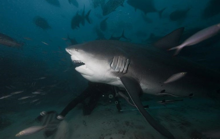 Фото достопримечательностей островов: 