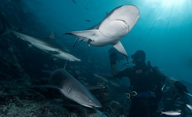 Фото достопримечательностей островов: 