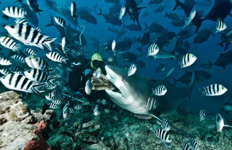 Фото достопримечательностей островов: 