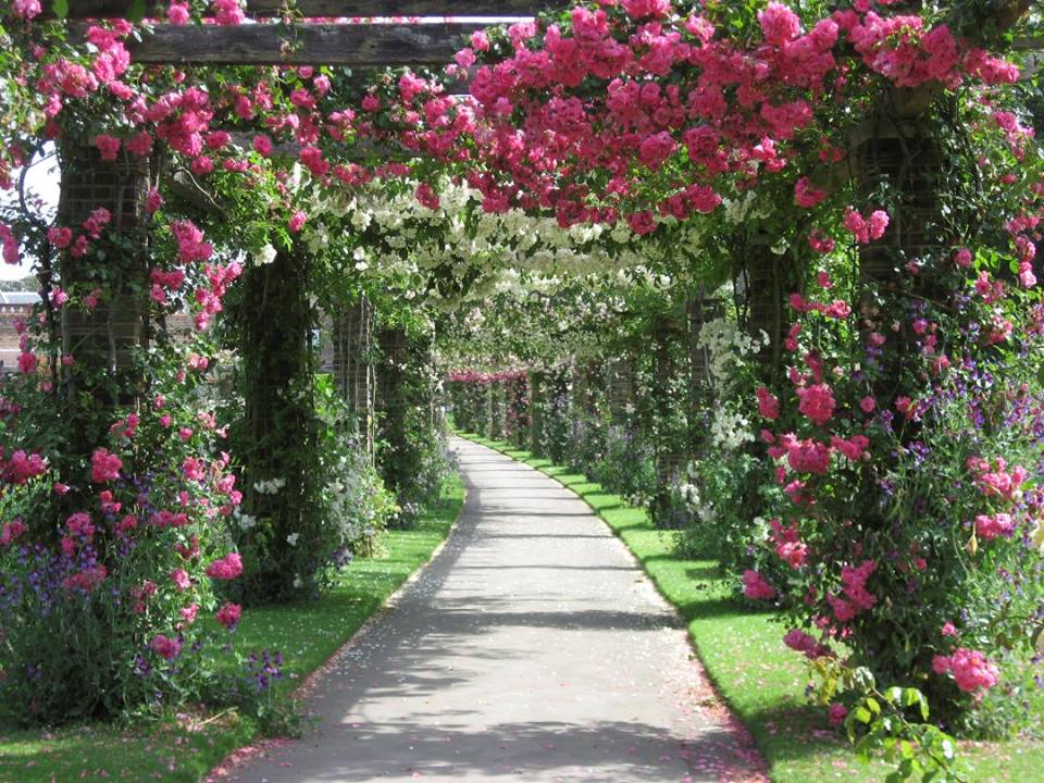 Фото достопримечательностей Великобритании (Англии): 