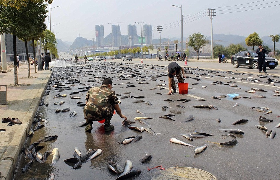 Фото достопримечательностей Гондураса: 