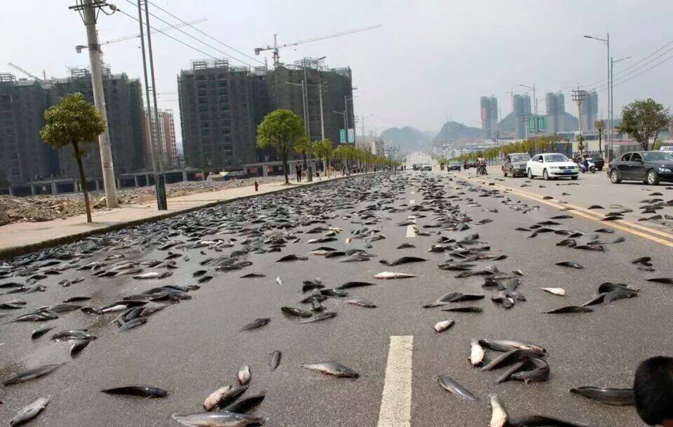 Фото достопримечательностей Гондураса: 