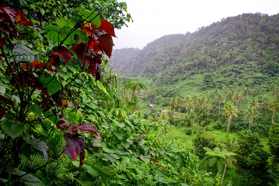 Фото достопримечательностей островов: 