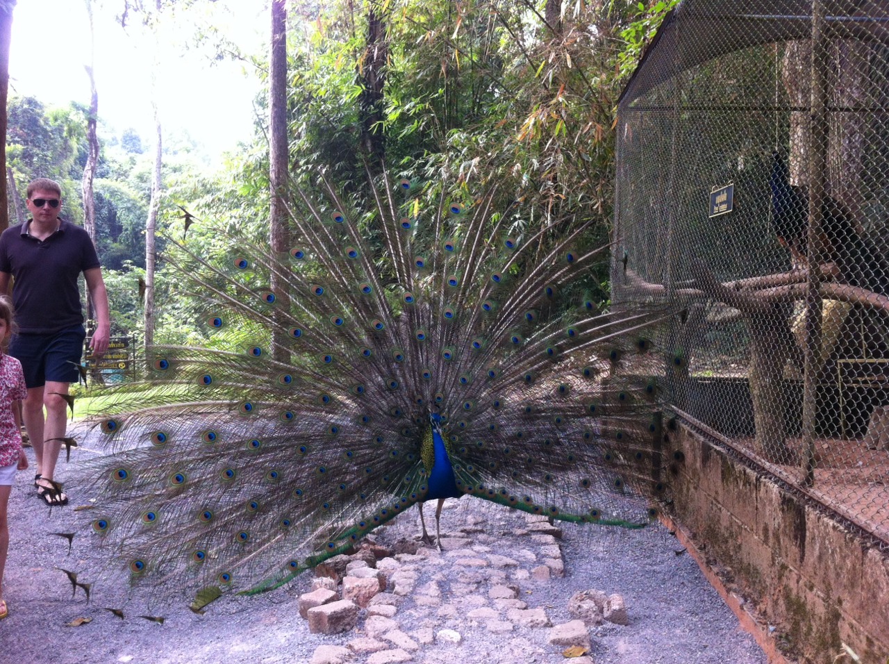 Фото достопримечательностей Таиланда: 