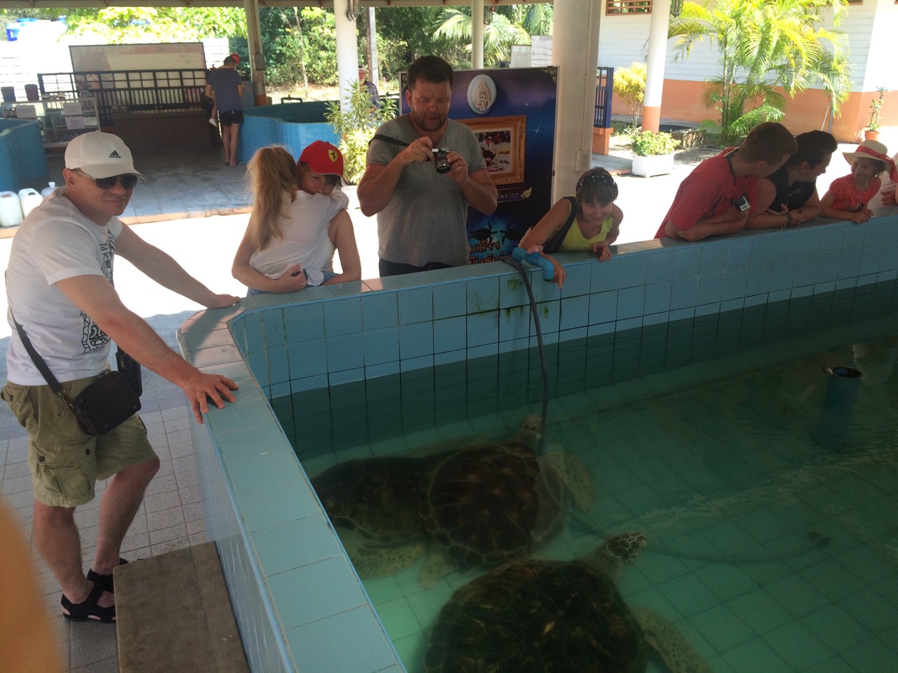 Фото достопримечательностей Таиланда: 