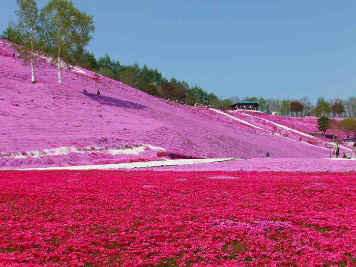 Фото достопримечательностей Японии: 