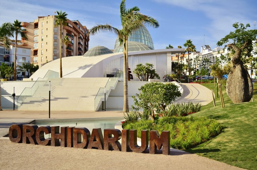 Фото достопримечательностей Испании: Павильон орхидей в центре Эстепоны &mdash; еще одна местная достопримечательность