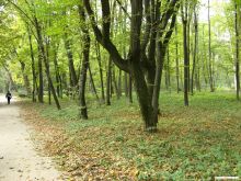  (Белая Церковь)