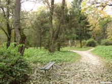 И снова - лавочка