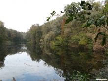 Озеро осенью (Белая Церковь)