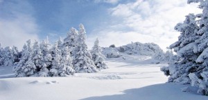  (Черногория)