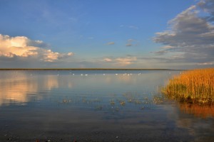  (Южный федеративный округ)