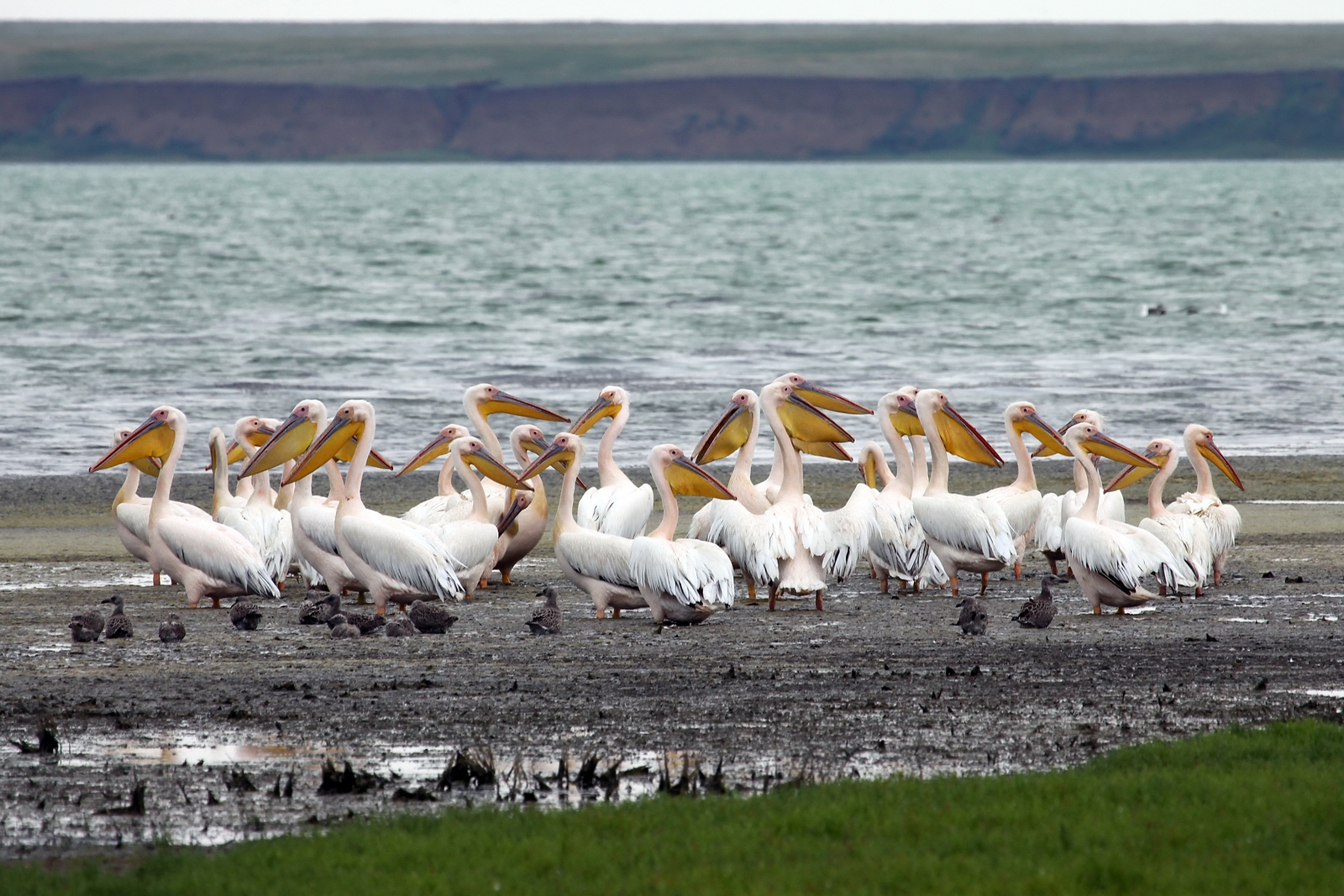 Фото достопримечательностей Южного федеративного округа: 