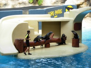 Лоро Парк (Испания)