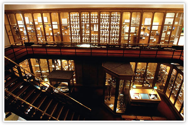 В Стамбуле появился Музей невинности 