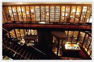 В Стамбуле появился Музей невинности 