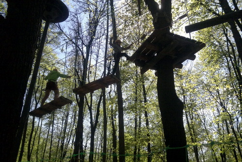 В Москве появился «Панда-Парк»