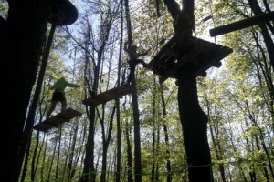 В Москве появился «Панда-Парк»