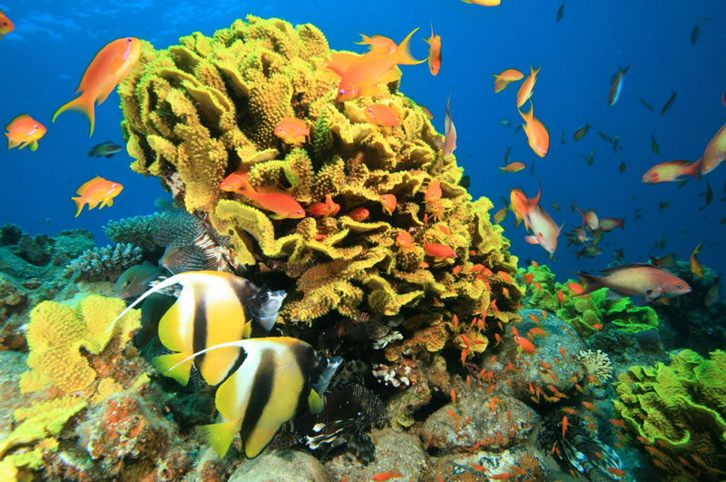 В Анталии открылся один из крупнейших аквариумов мира