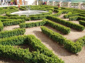 Чехия предлагает «вампирские» экскурсии