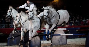 В Риме стартовал конный карнавал 