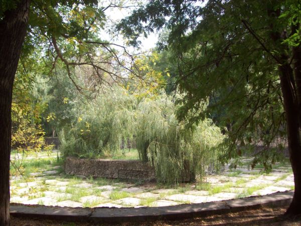 На Крымском курорте Саки возрождают старинный парк