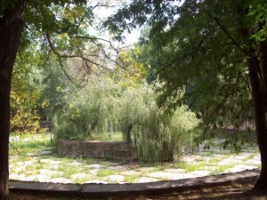 На Крымском курорте Саки возрождают старинный парк