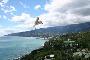 В Ялте появятся искусственные рифы