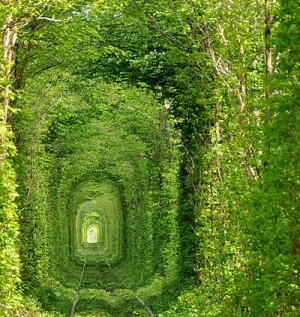 Удивительный тоннель любви в Клеване 