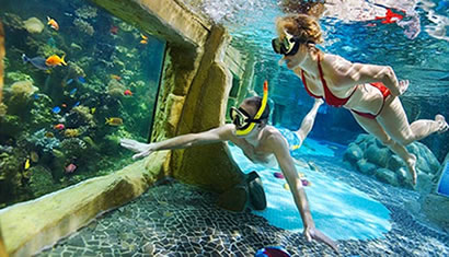 Океанариум Доминиканской республики предлагает окунуться в мир кораллов и акул 