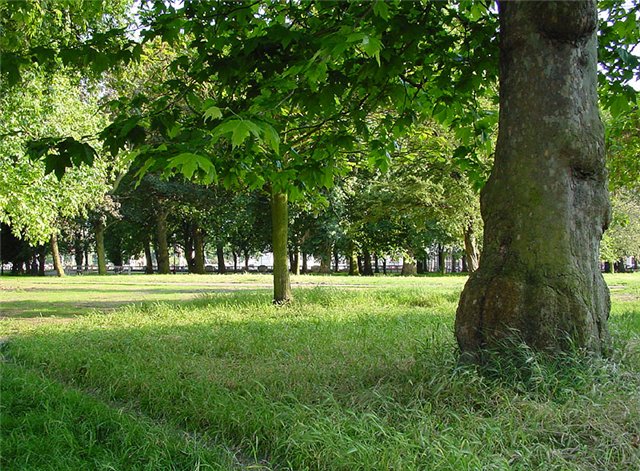 В Киеве откроется детский парк по мотивам сказок Пушкина