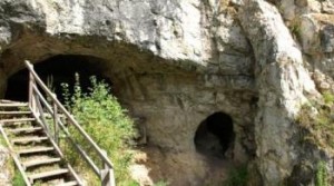 На Алтае появился необычный развлекательный парк 