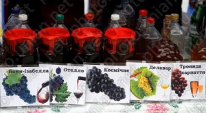 В Мукачево пройдет праздник «Червене вино»