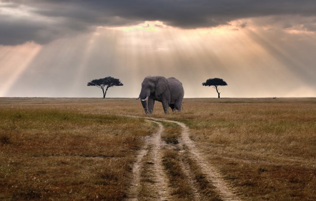 В Кении появится новый туристический объект 