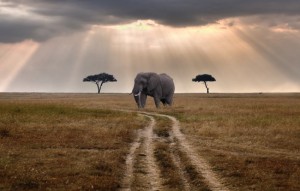 В Кении появится новый туристический объект 