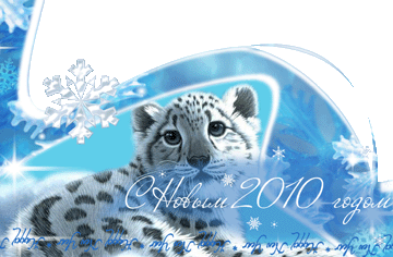 С Новым 2010 годом!