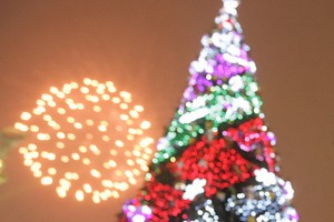 В Италии установят рождественскую елку с пиявками 