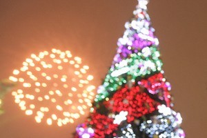 В Италии установят рождественскую елку с пиявками 