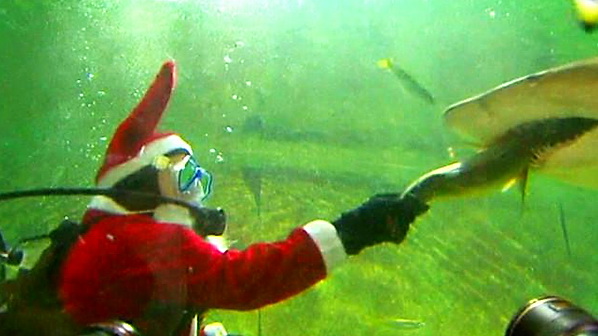 Подводный Санта-Клаус уже появился в Мексике