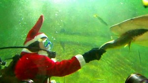 Подводный Санта-Клаус уже появился в Мексике