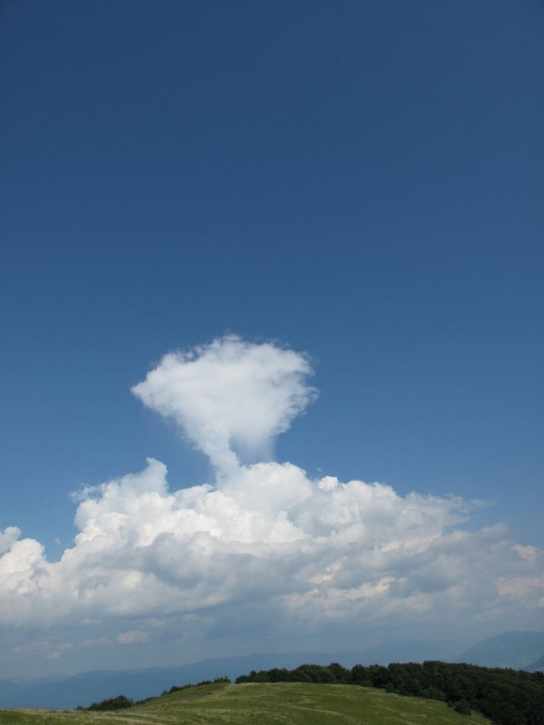 заставить любить, - Закарпатье, Полонина Боржава Боржава, 5-ти дневный поход