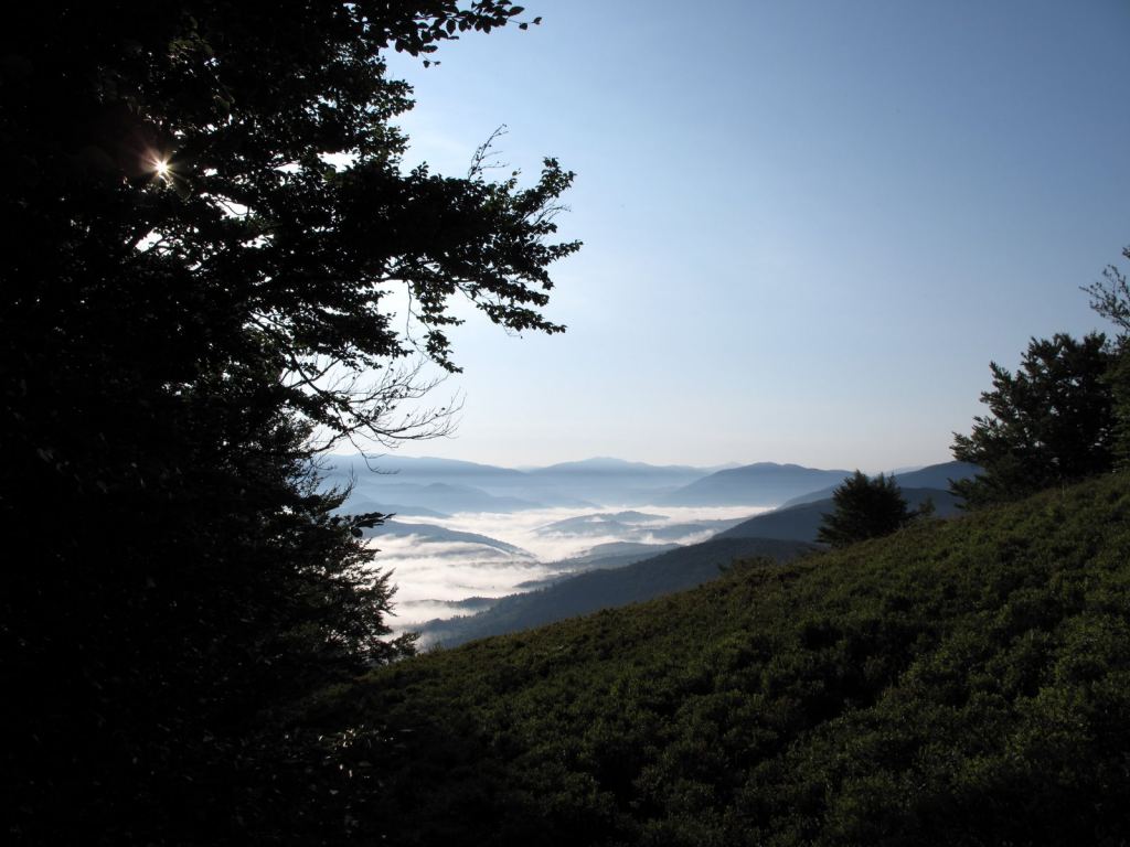Фото 53 - Закарпатье, Полонина Боржава Боржава, 5-ти дневный поход