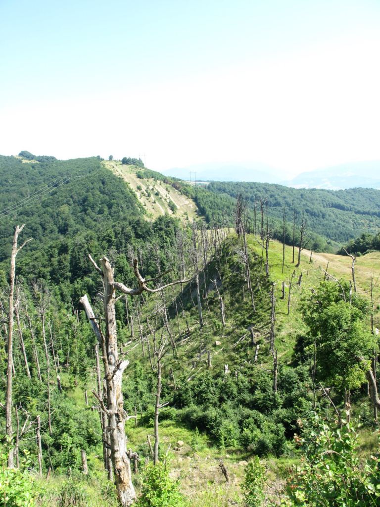 Вид на пройденный участок пути. - Закарпатье, Полонина Боржава Боржава, 5-ти дневный поход