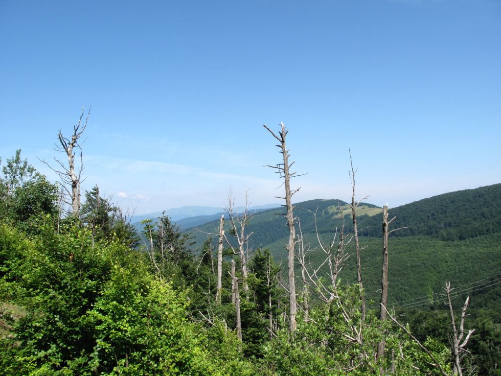 Фото 62 - Закарпатье, Полонина Боржава Боржава, 5-ти дневный поход