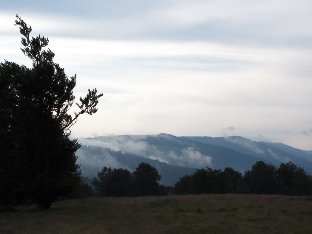 Фабрика по производству облаков. - Закарпатье, Полонина Боржава Боржава, 5-ти дневный поход